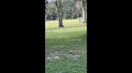 Distracted Daughter Drives Dirt Bike Into Tree