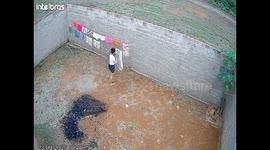 Broken Clothesline Sends Freshly Washed Laundry to the Ground