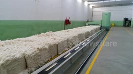 Industrial equipment for the cleaning and high-quality processing of raw cotton