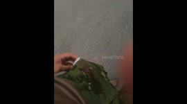 Soldier Rescues Abandoned Kitten