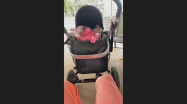 Toddler's Hilarious Mishap: Ball Rescue Gone Wrong! (Australia)
