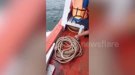 American tourist arrested after 'jumping from ferry' in Thailand