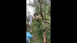 Japan: Typhoon Halong Leaves Trail of Damage 2