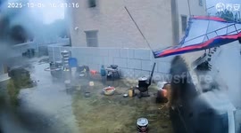Terrifying moment typhoon winds flip up canopy leaving dogs hanging midair by their collars - owner rescues them