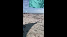 Peaceful seaside view under sunny skies in Huntington Beach State Park, South Carolina, USA