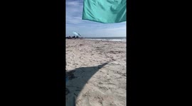 Relaxing seaside moment at Huntington Beach State Park, South Carolina, USA