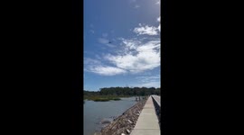 Military helicopter flies over Huntington Beach State Park, Murrells Inlet, USA