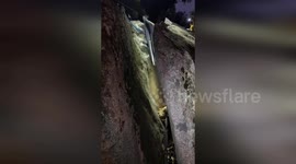 Family's pet goat stuck between two rocks is rescued in San Diego