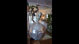 Chameleon climbs spinning disco ball in Thomasville, USA