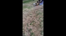 Playful puppy joins family picnic in Buenos Aires, Argentina