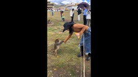 Woman retrieves bracelet from curious monkey in Sichuan, China