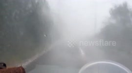 Japan: Powerful Typhoon Halong Batters Hachijo Island with Rain and Wind 3
