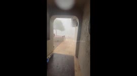Phoenix Monsoon Storm Knocks Down Tree