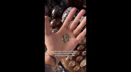 Hawaiian sand reveals micro-universe—Microscope video stuns 350k Instagram viewers