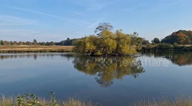 Lake in park sunny day big green park in Autumn