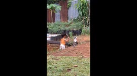 Kiddo Slide-Tackled by the Cat