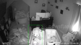 Security cam catches toddler sneaking into baby sister’s bassinet in adorable viral moment