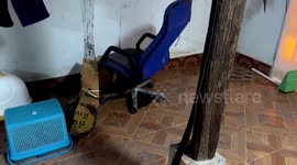 Snake wranglers catch 14ft python that swallowed family's pet cat