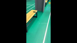 Cockroach interrupts badminton practice in Jiangsu, China