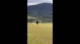 Rider maintains balance on fast-running Mongolian horse in Sichuan, China