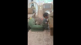 Dog hilariously fights baby for the seat in Liaoning, China