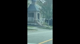 Wild turkey spotted running freely on the street in Markham, Canada