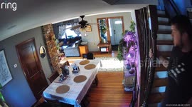 Man startled by unexpected noise while greeting cat in New Hampshire, USA