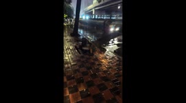 Microcar hits fallen tree on rainy night in Hebei, CHina