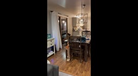 German Shepherd hops playfully around the dining area in Pleasant Prairie, Wisconsin, USA