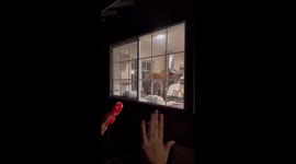 Bear enters kitchen during unexpected encounter in South Lake Tahoe