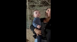 Child mesmerized by fireworks display in Cartagena, Colombia