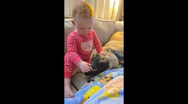 Toddler laughs after dog sneezes during playful moment in Spring Creek, USA
