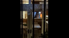 Bear rummages through neighbor’s house at night in Aspen, Colorado, USA
