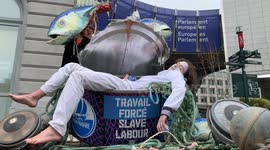 Ocean Rebellion target the European Parliament in Brussels to highlight modern day slavery in industrial tuna fisheries
