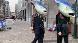 Ocean Rebellion target the European Parliament in Brussels to highlight modern day slavery in industrial tuna fisheries