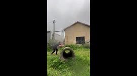 Playful crossing culvert ends with mishap in Laroque d’Olmes, France