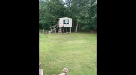 Backyard zip line snaps and man falls in Tuckerton, New Jersey