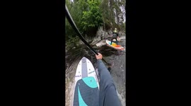 Exciting paddle boarding adventure on River Tummel in Pitlochry, Scotland, UK