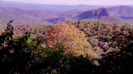 People stopping on the BLue Ridge Parkway to observe the colour changes of the trees in Western North Carolina