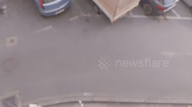 Scooter rider has near miss with stray cat