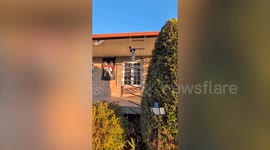 Woman spends $7k to turn front yard into pirate-themed Halloween spectacle