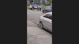 Crosswalk Conflict Caught on Camera