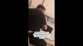 Cat’s mid-fight panic attack sends her flying... straight into owner’s face in viral pet standoff
