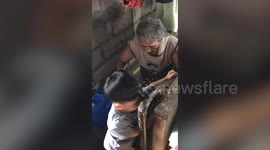 Caring toddler helps frail grandfather climb the stairs