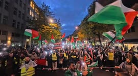'Unity for Gaza' protest held in Berlin after ceasefire