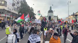 Hundreds rally in Swedish capital in support of Palestine