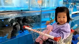 Bizarre moment fish leaps onto lap of toddler posing next tank with grandmother