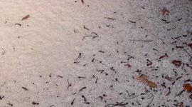 Powerful hailstorm covers streets in thick layer of ice in California, USA