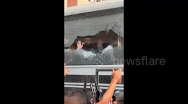 Palestinian Prisoners Released in Khan Yunis