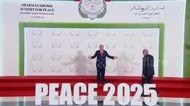 Egypt: Turkish President Erdogan attends Gaza peace summit in Egypt